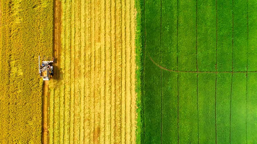 Asesoramos para conseguir la homologación del marcado CE para la comercialización de productos 